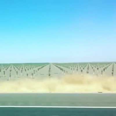 Passing by rows of crops