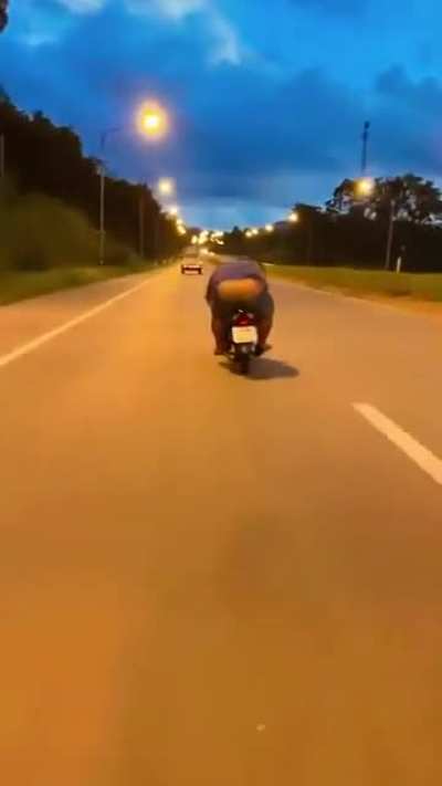 The Barefoot Rider