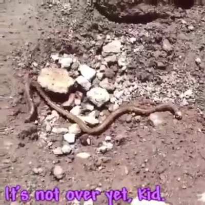A god does not fear death