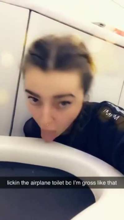 A classic: plane toilet lick