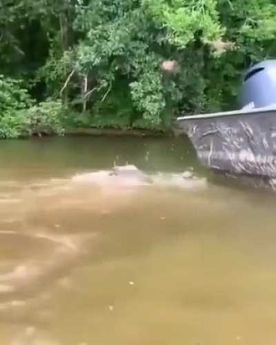 Girl catfishes under water