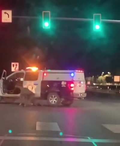 Gta 6 gone wrong