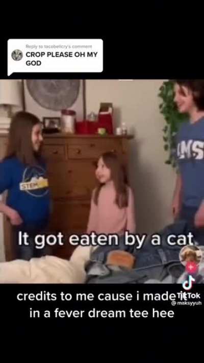 that dog must have been yummy
