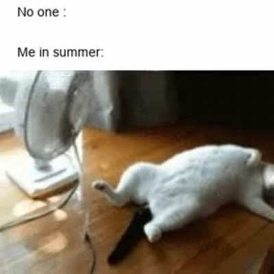 Uploading memes until i get tita.nium day 1