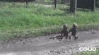 First contact