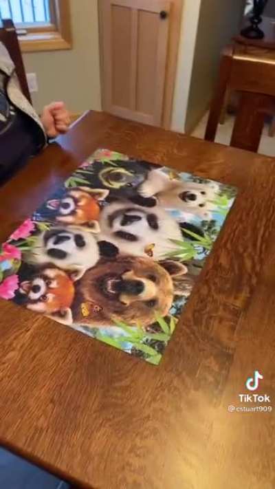 Nice puzzle, Mum.