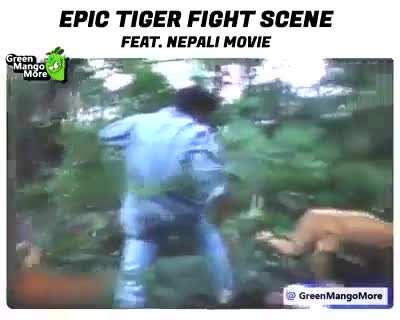 Nepali movie - Tiger fight scene