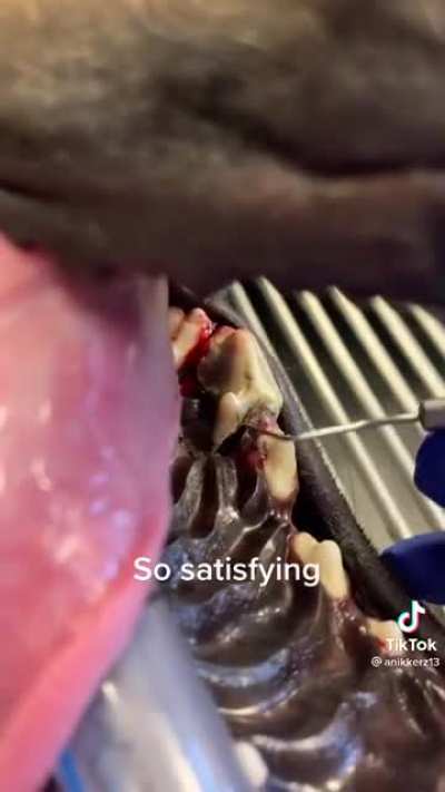 Satisfied?
