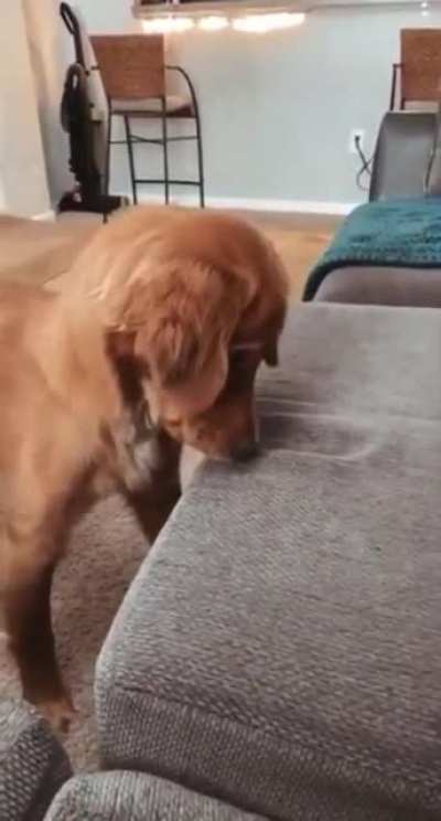 I'm gonna get you....