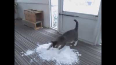 indoor snow greebles