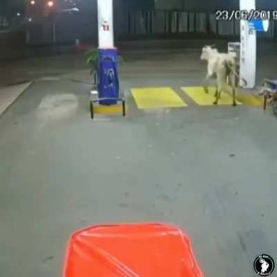 That jump..
