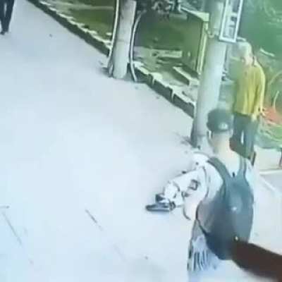GATO CAE DEL CIELO PELEA EPICA PERRO CON BOTAS