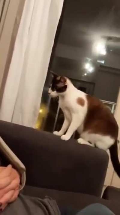 Boo !!