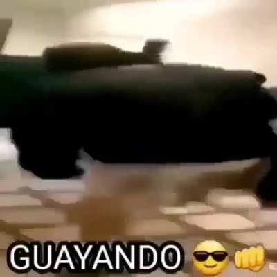 Guayando 😎👊