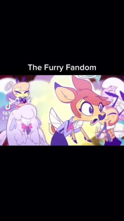 Furry_irl