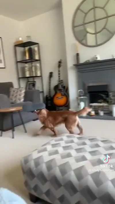 Caught red pawed.