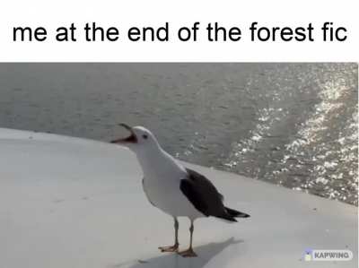 lol