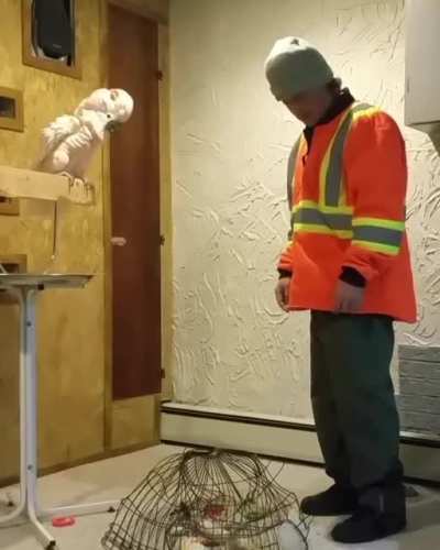 Sounds like grandma!