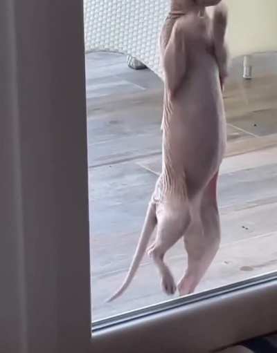 His little belly!!