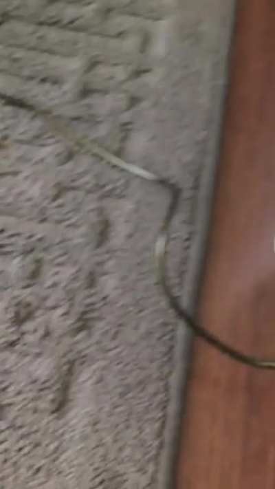 My Fellow ogres may I introduce to you......The SHREXBOX! (TURN VOLUME UP!)
