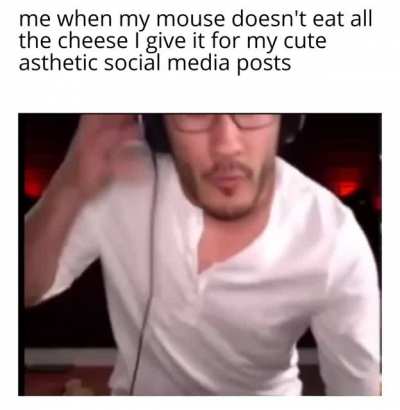 Mouse