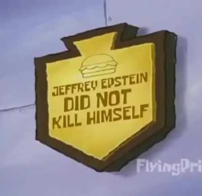 JEFFERY EPSTEIN DID NOT KILL HIMSELF!