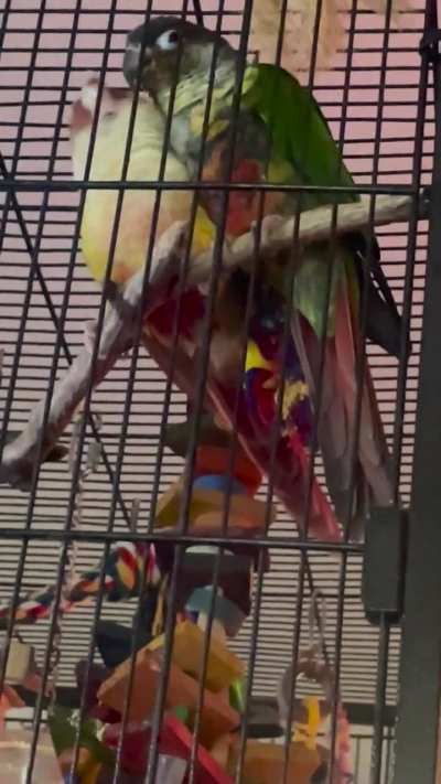 Soggy preens