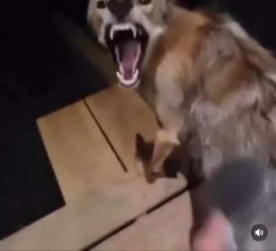 What a good boy