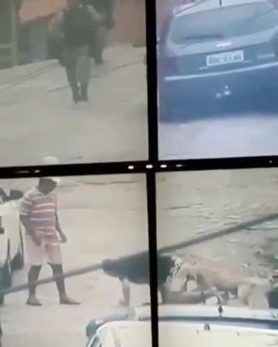 Justice dog stops thief!