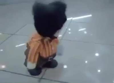 yeni oyuncagım