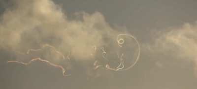 Wingtip vortices from a F-15