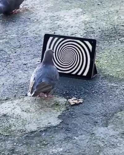 Spiral out