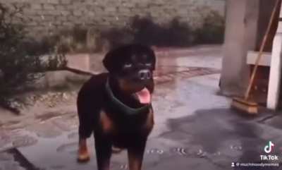 Don‘t hate him