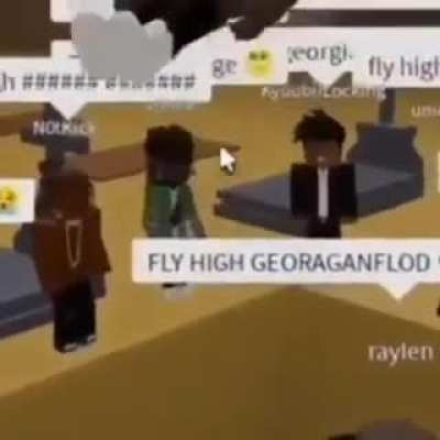 Fly High 🕊️ (literally)