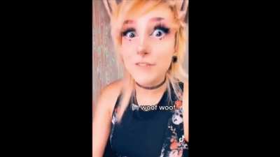 I am going to bark at you