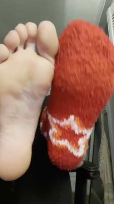 Socks or No Socks? 