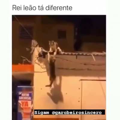 Ok... É vdd