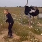 Tribal war dance