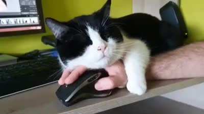 Working From Home