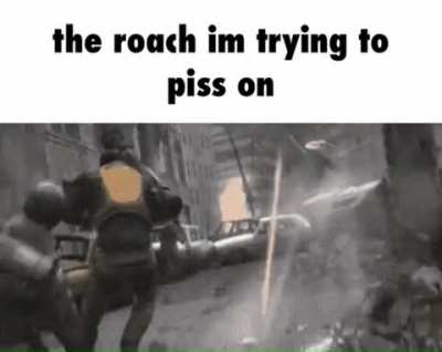 Roach