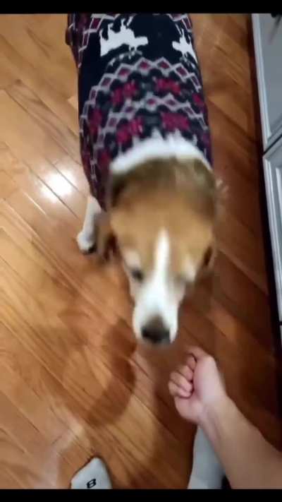 fat wunk falls for it again (will he ever learn?)