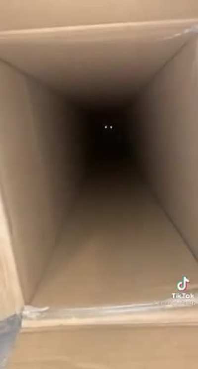 what is there?