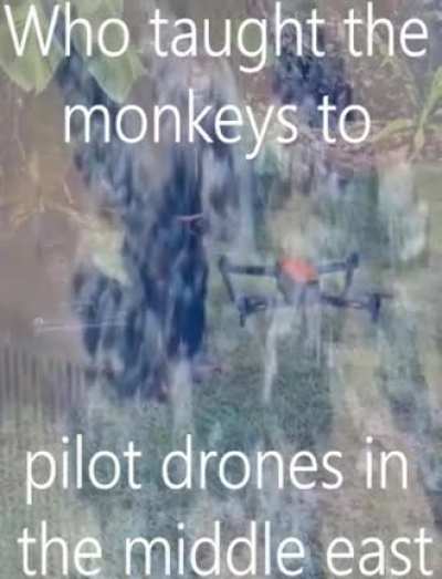 rule