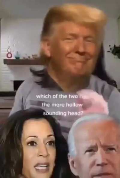 Trump 2024