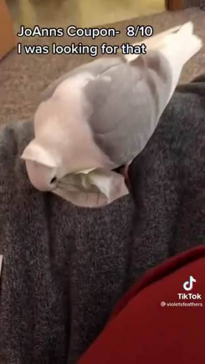 Rating things Chicken brings me