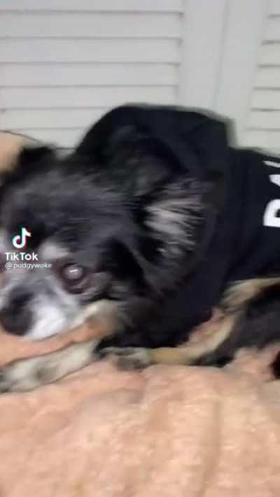 Hey Bola