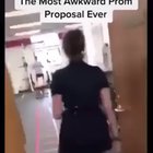 I’m a girl, you better say yes