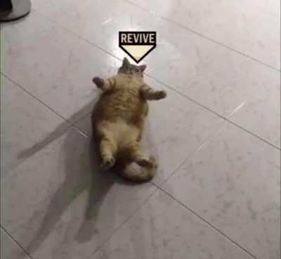 Hey, can you revive me? No? Oh...ok... :(