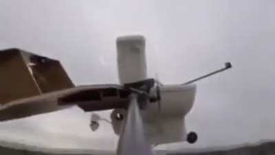 Losercity national airforce
