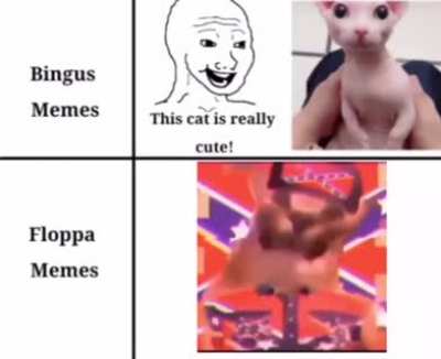 Floppa > Bingus